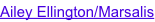shapeimage_6_link_17