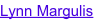 shapeimage_4_link_0